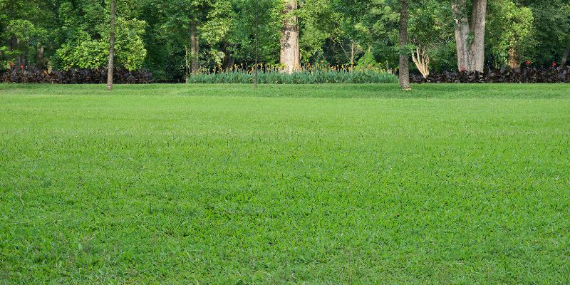 Grama Sintética e Artificial: Existe Diferença?